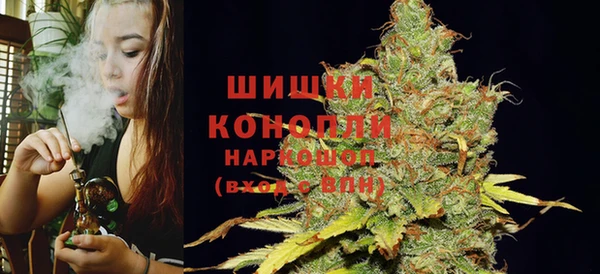 молекула духа Аркадак