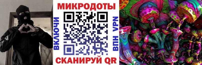 Псилоцибиновые грибы Cubensis  мега ONION  Багратионовск  продажа наркотиков 